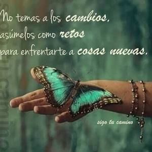 Meet your Posher, Ana